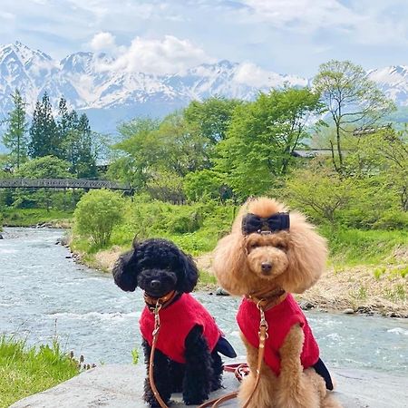 Hotel 白馬パウダーマウンテン Hakuba Exterior foto