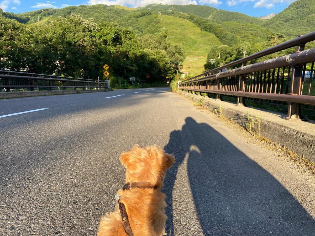 Hotel 白馬パウダーマウンテン Hakuba Exterior foto