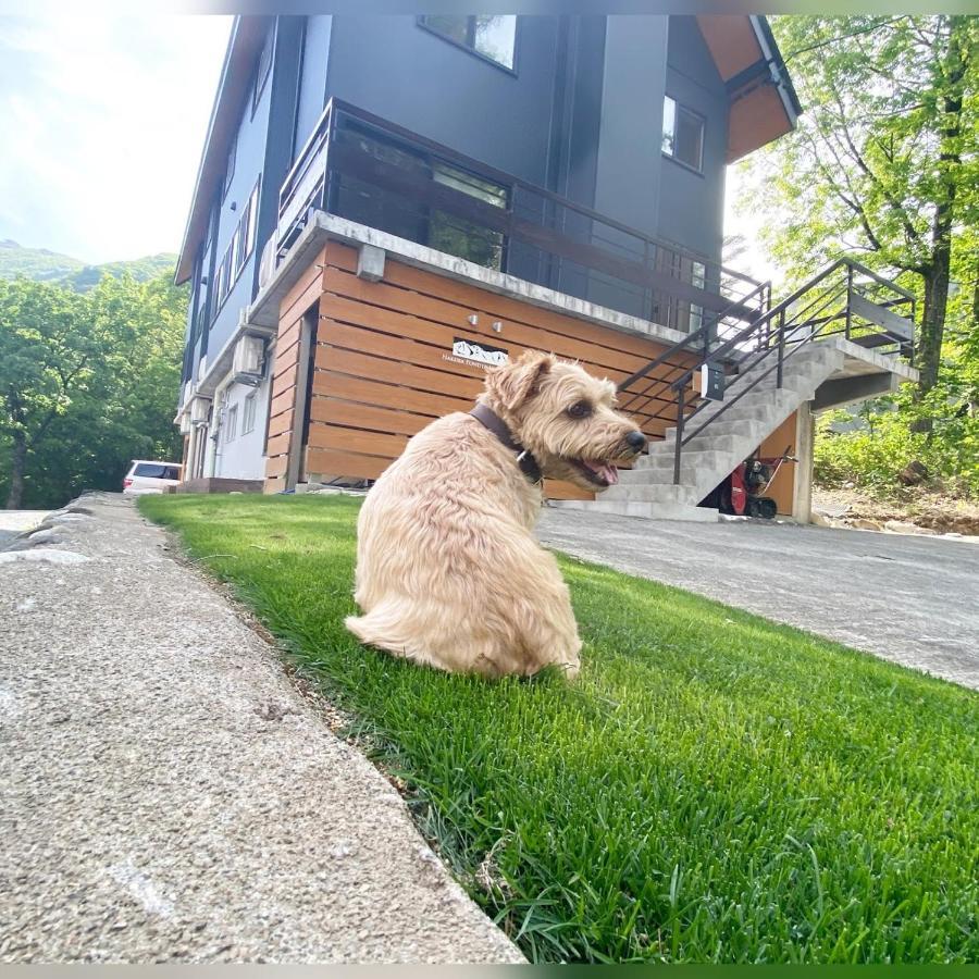Hotel 白馬パウダーマウンテン Hakuba Exterior foto