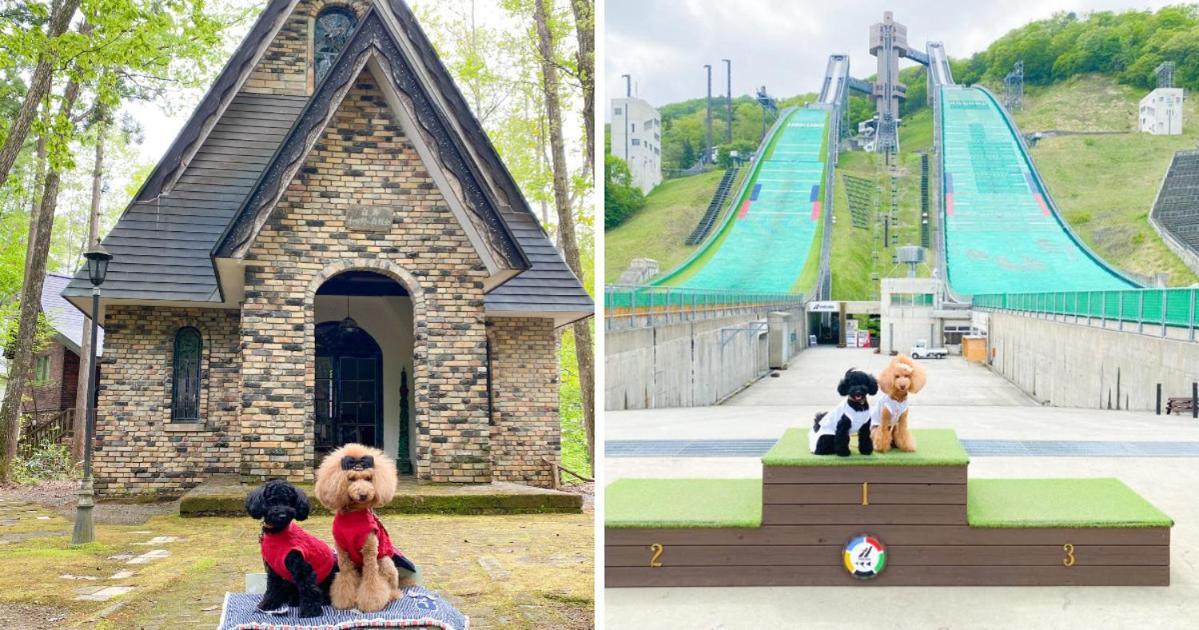 Hotel 白馬パウダーマウンテン Hakuba Exterior foto